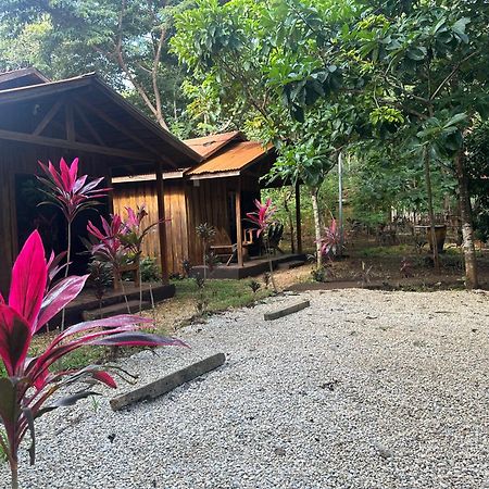 Finca Avellanas Lorena Dış mekan fotoğraf