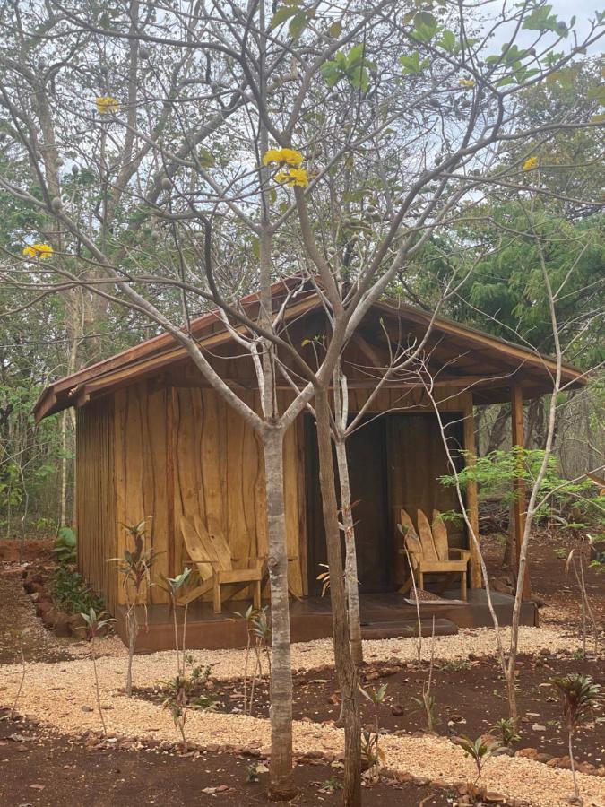 Finca Avellanas Lorena Dış mekan fotoğraf