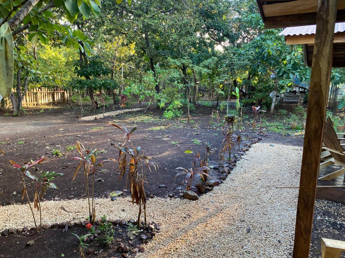 Finca Avellanas Lorena Dış mekan fotoğraf