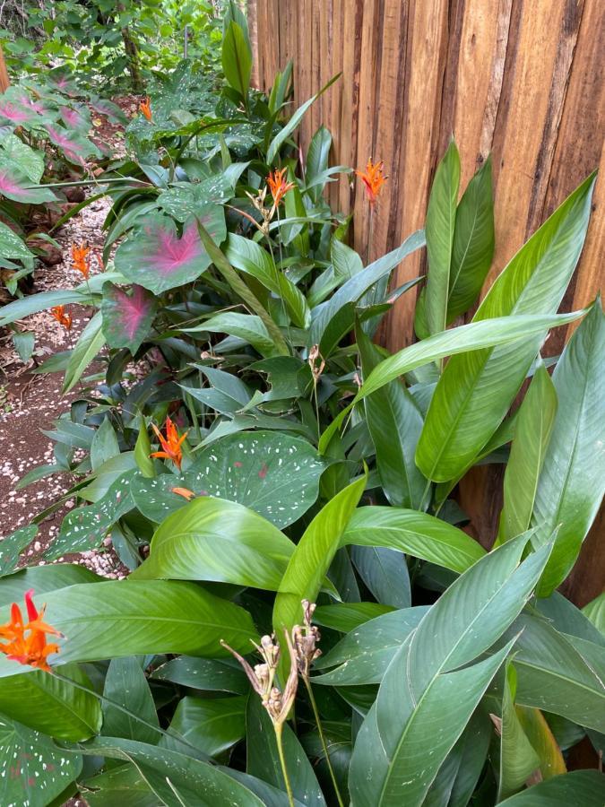 Finca Avellanas Lorena Dış mekan fotoğraf