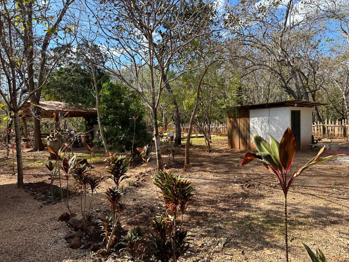 Finca Avellanas Lorena Dış mekan fotoğraf