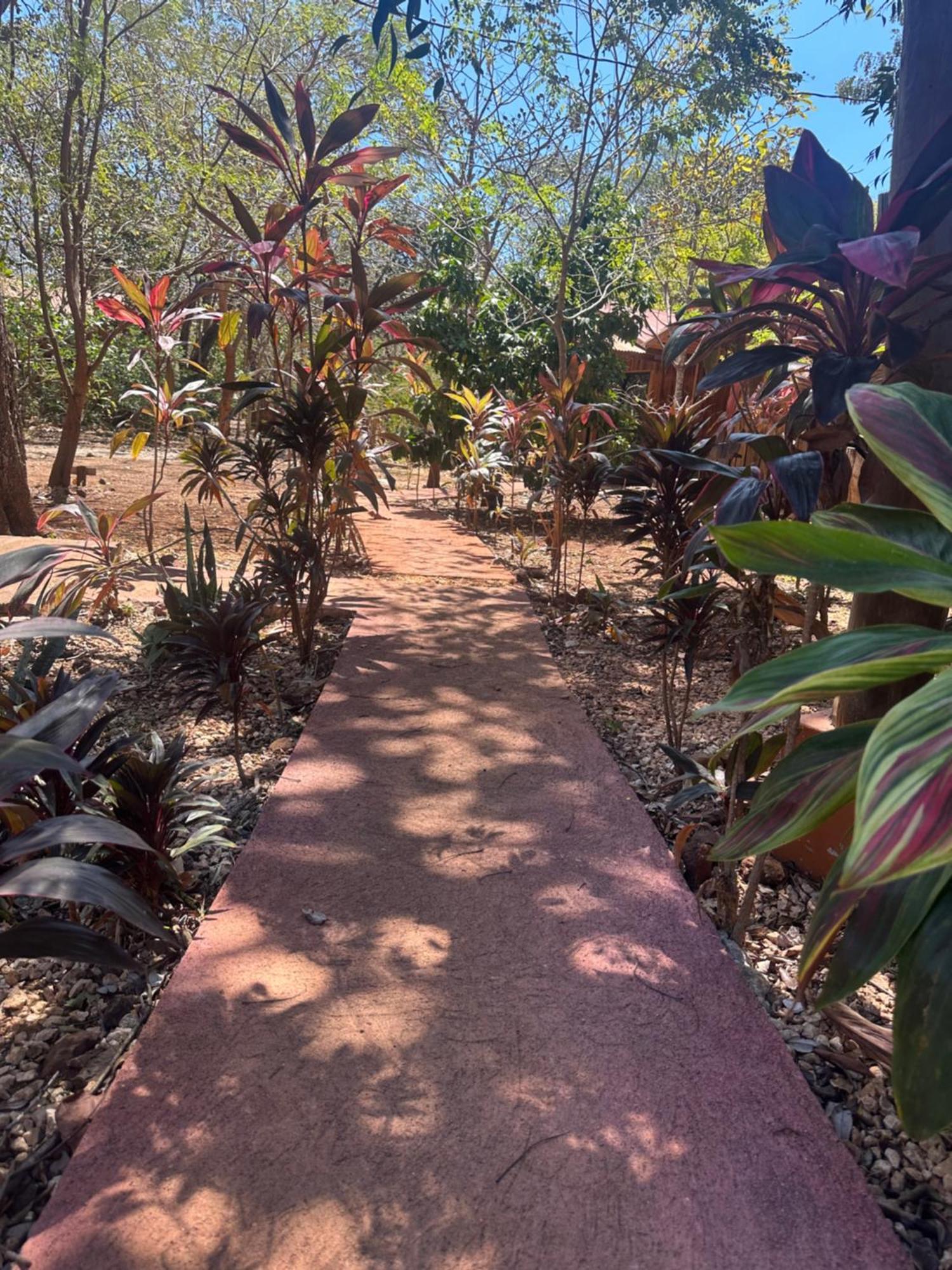 Finca Avellanas Lorena Dış mekan fotoğraf