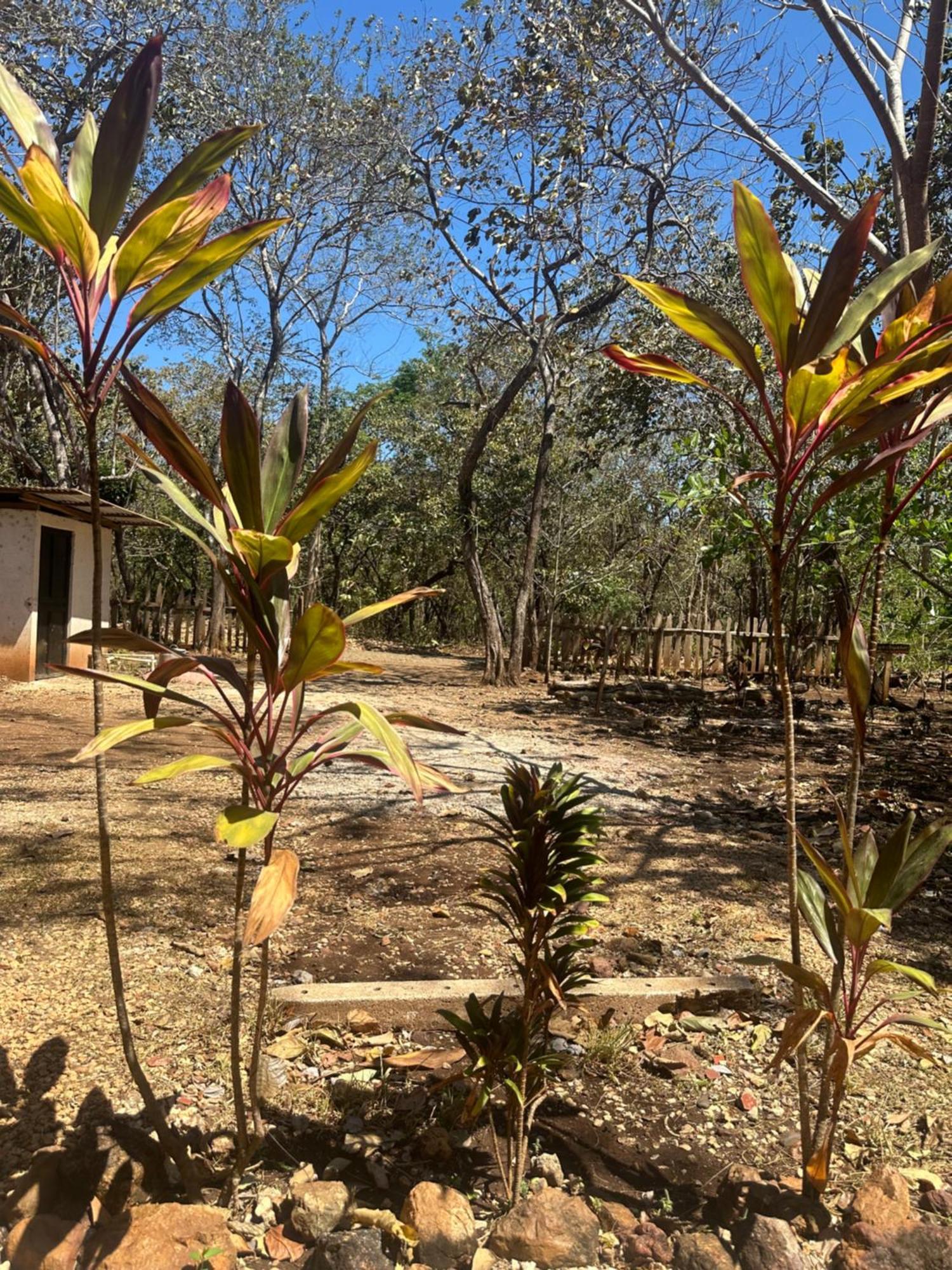 Finca Avellanas Lorena Dış mekan fotoğraf