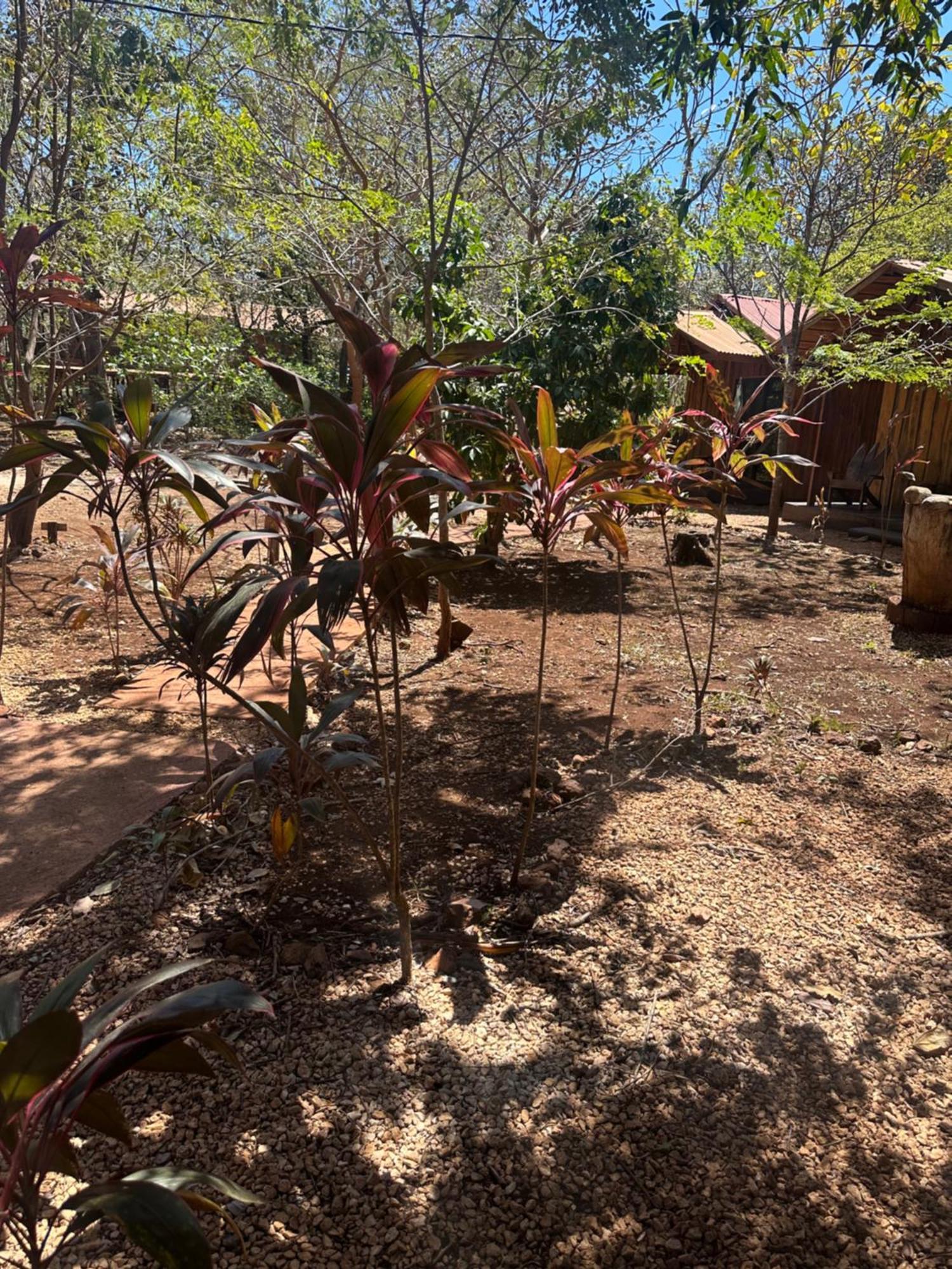 Finca Avellanas Lorena Dış mekan fotoğraf