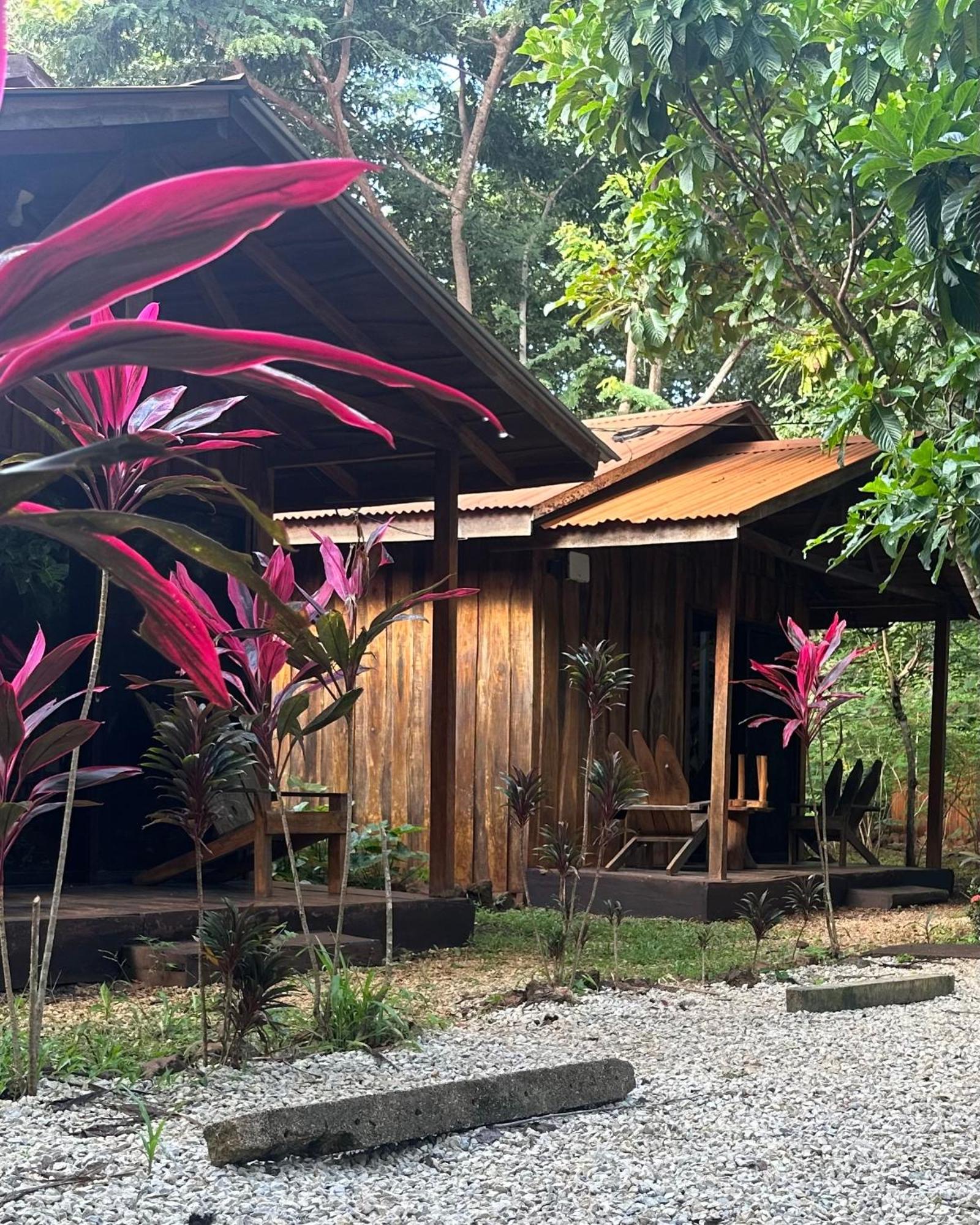 Finca Avellanas Lorena Dış mekan fotoğraf