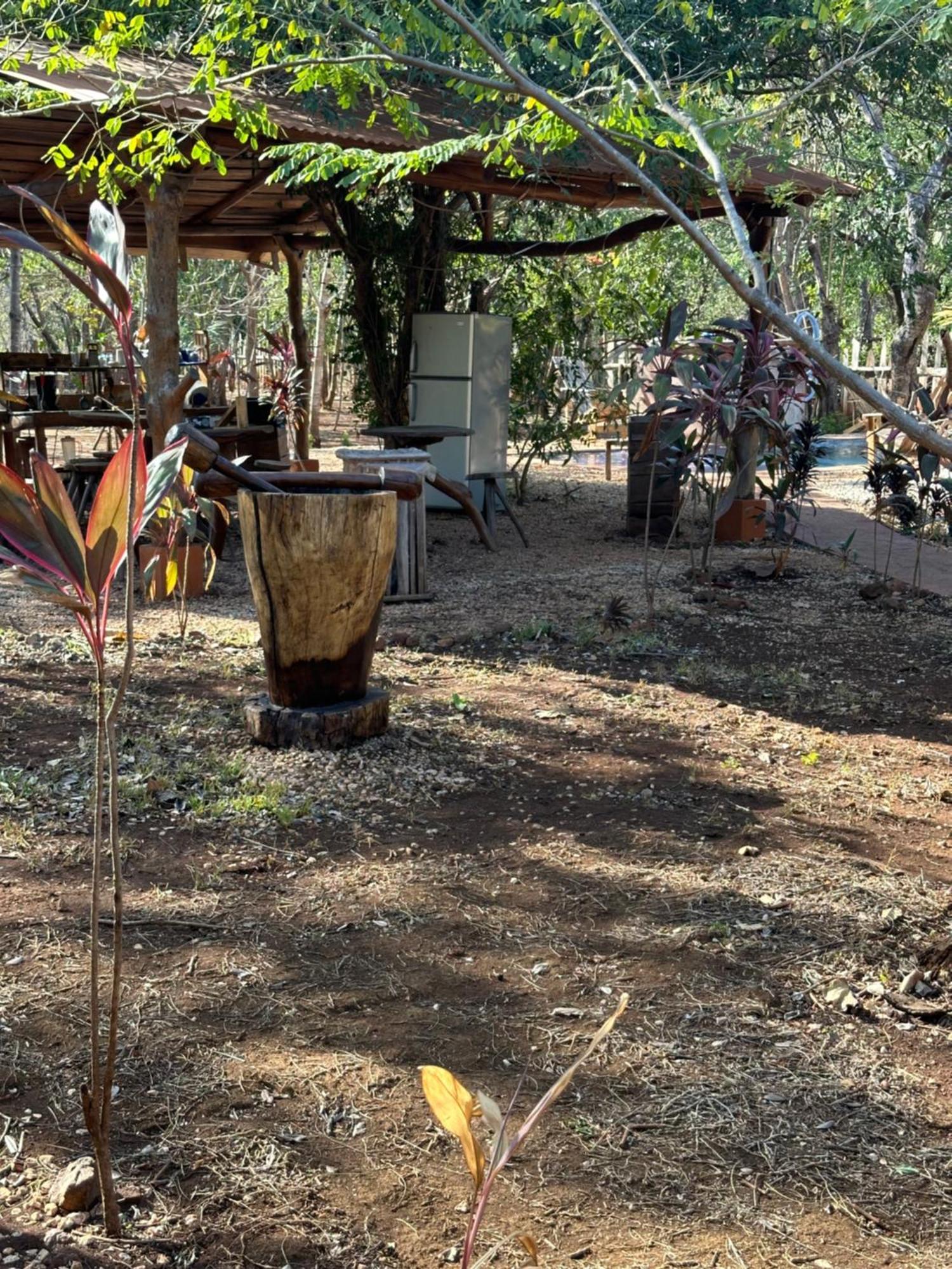 Finca Avellanas Lorena Dış mekan fotoğraf