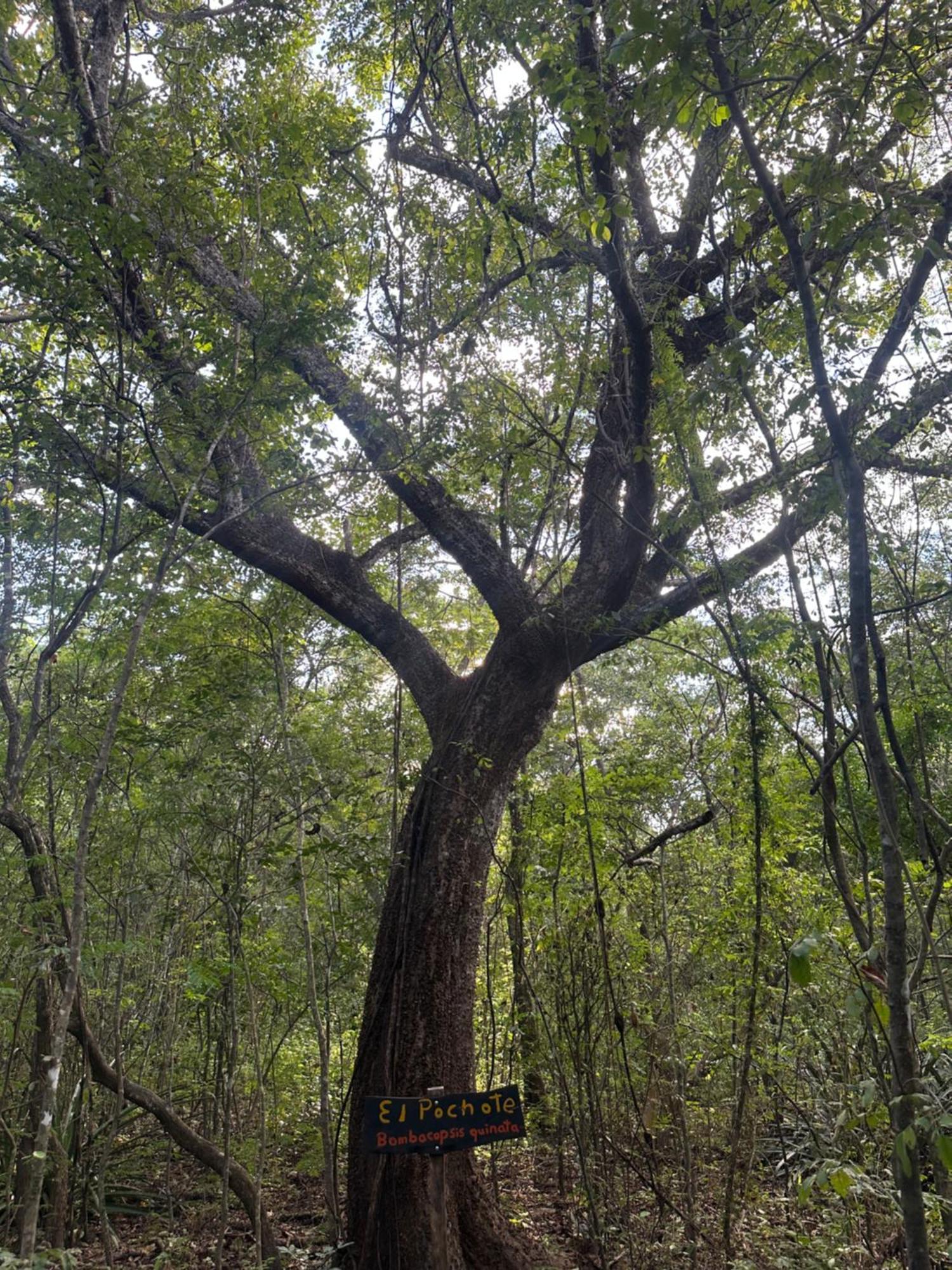 Finca Avellanas Lorena Dış mekan fotoğraf