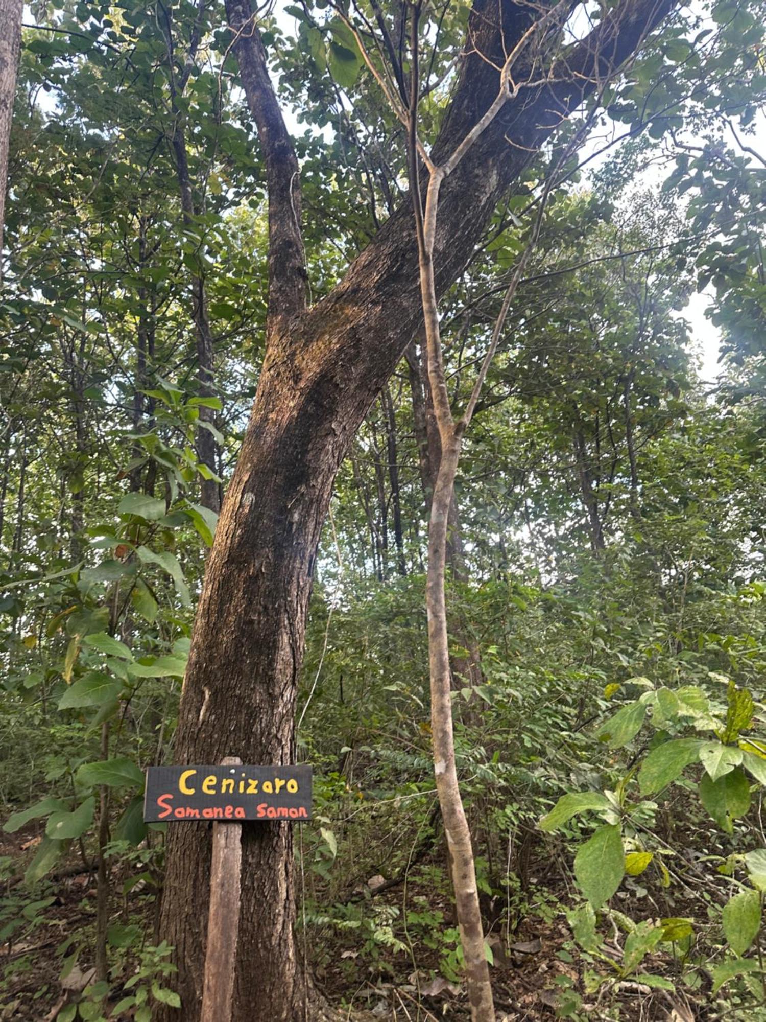 Finca Avellanas Lorena Dış mekan fotoğraf