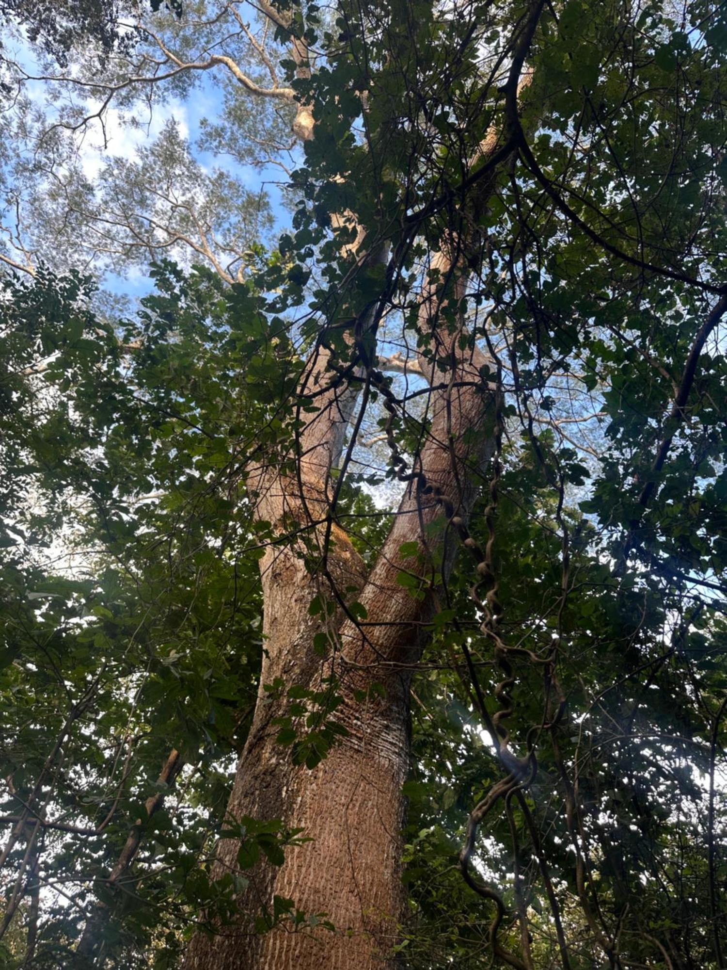 Finca Avellanas Lorena Dış mekan fotoğraf