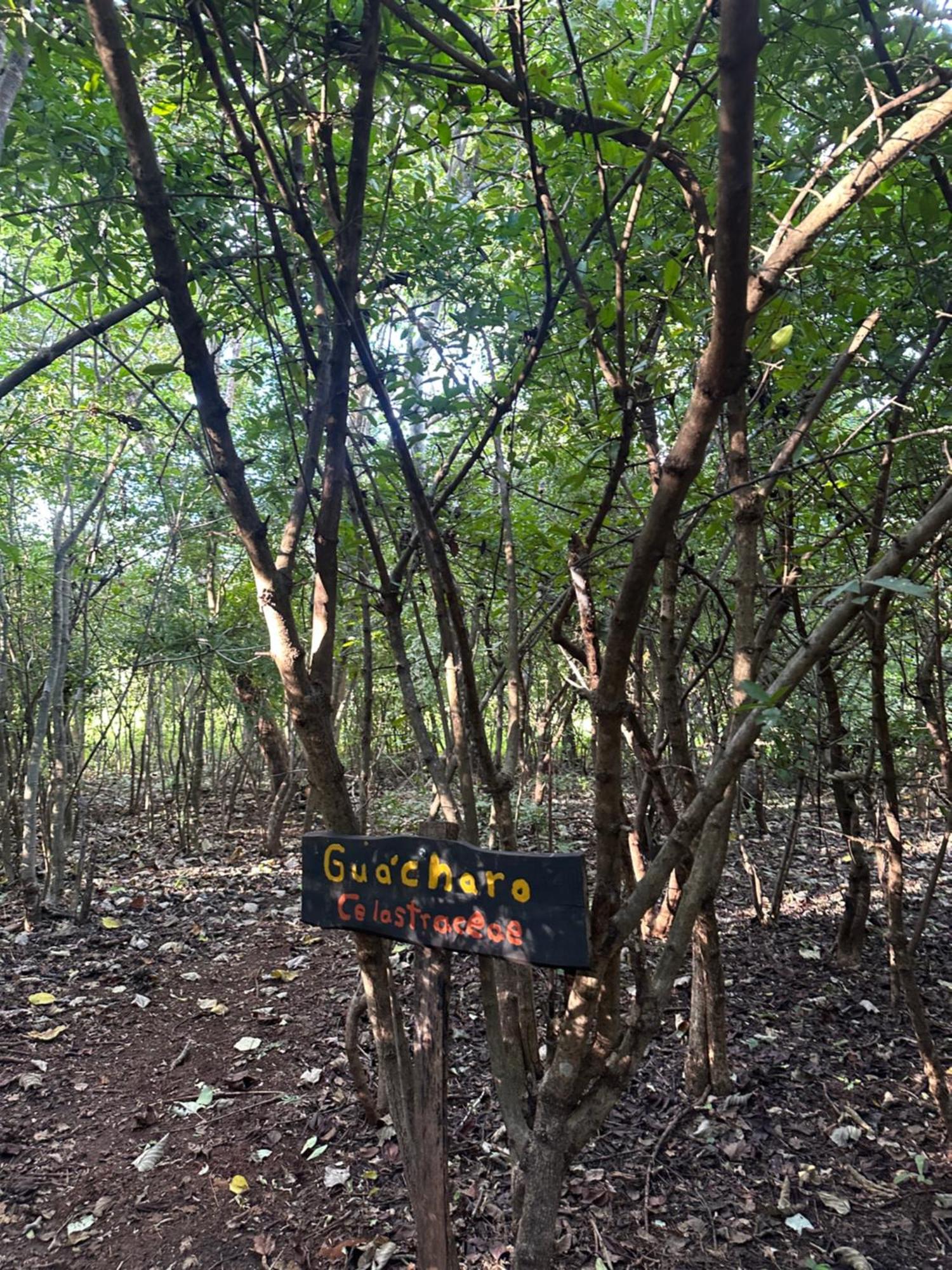 Finca Avellanas Lorena Dış mekan fotoğraf
